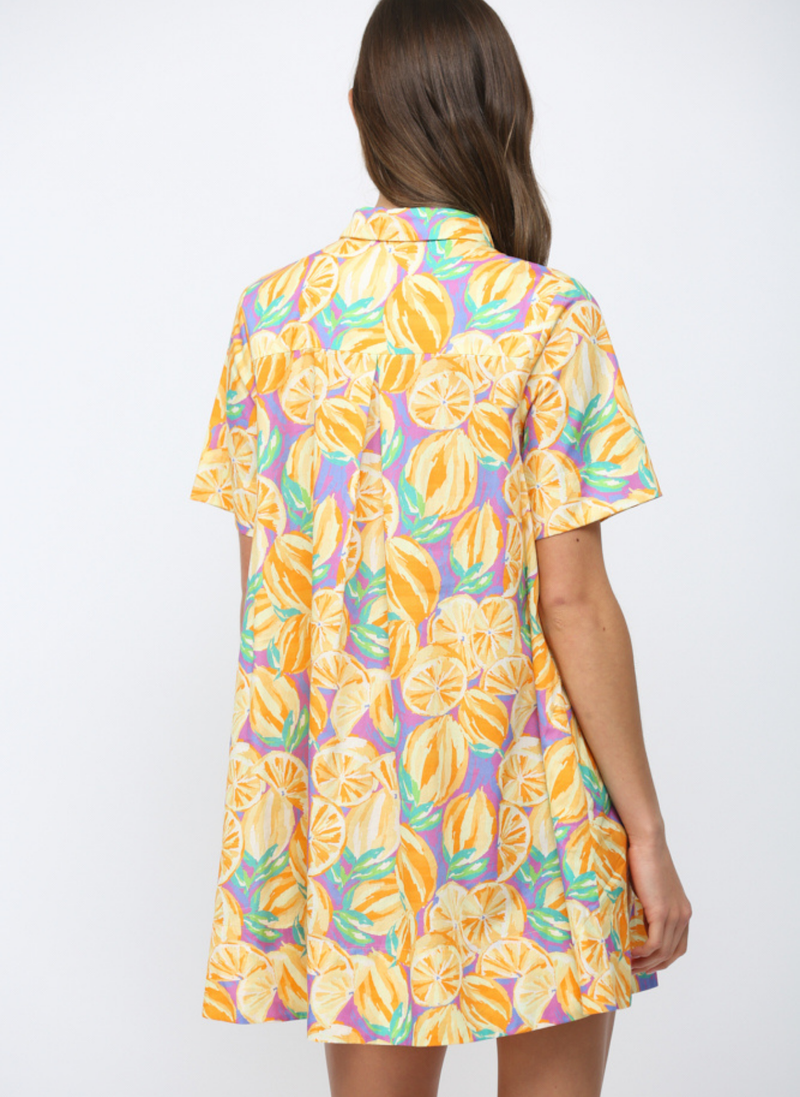 Fruit Print A-Line Dress