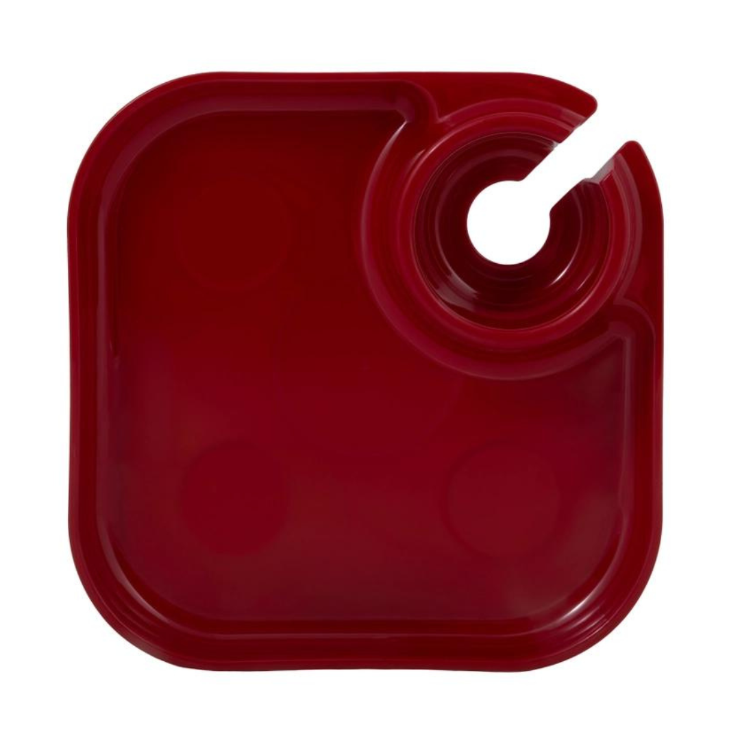 Reusable Party Plate Set
