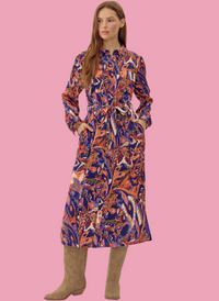 Suzy Silk Print Shirt Dress