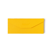 Foldable Eyewear Case