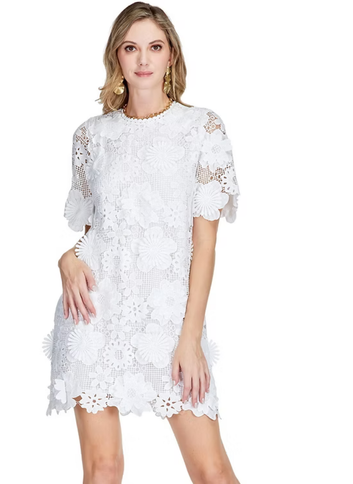 Jumping Blooms Floral Applique Dress