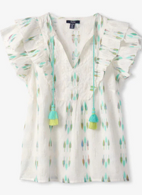 Alexa Popover - Blue Feather Ikat